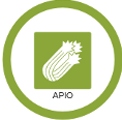 Apio y productos derivados