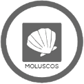 Moluscos y crustáceos y productos a base de estos